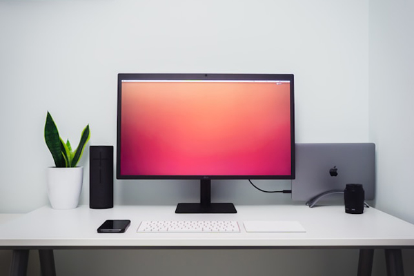 Maximize Your Monitor Purchase